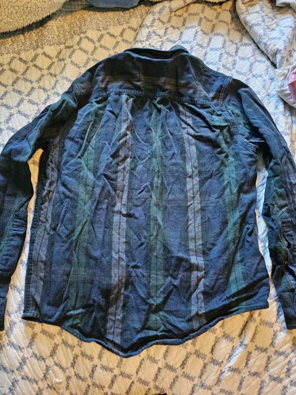 Plaid - Picture 2 of 4